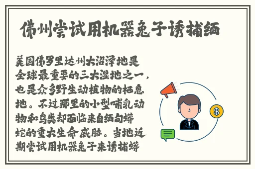 唐三把手放在宁荣荣两座山